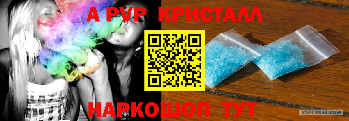 APVP крисы CK Нурлат