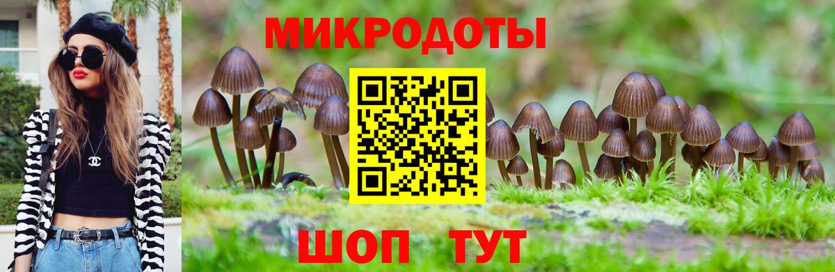 Галлюциногенные грибы Psilocybine cubensis  Вход с VPN  Нурлат 